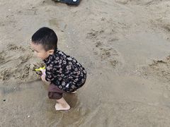 -碧海金沙