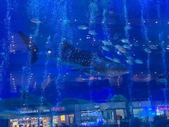 -成都浩海立方海洋公园