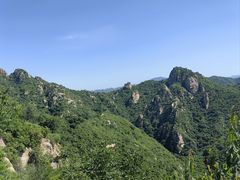 -大岭沟猕猴桃谷风景区