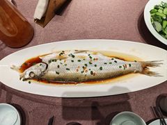 -羲和雅苑•北京烤鸭(乐园道万象城店)