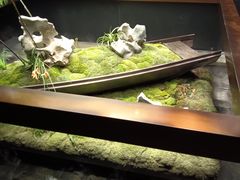 -蘇锦宴·淮扬菜烤鸭·小院(三元桥霄云路店)