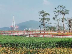 -芒洲湿地公园