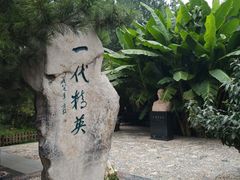 -趵突泉景区
