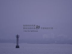 -深圳湾公园(南山区)