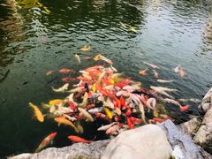 -龙凤山庄影视度假村