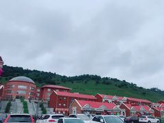 -关山草原