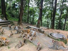 -黔灵山公园