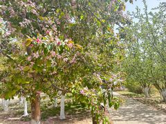 -元大都城垣遗址公园