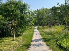 -昆山城市生态森林公园