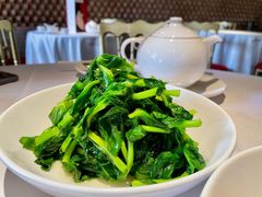 五粮液嫩豆苗-玫瑰厅上海菜(兴国路店)