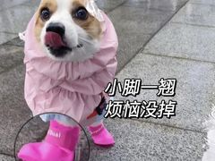 -肯德基(津滨店)