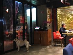 -Cactus墨西哥仙人掌餐厅