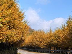 -东白山