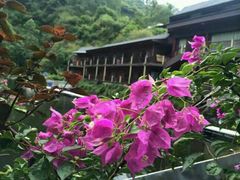 -茗荔园农庄(大涌店)