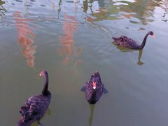 -蓬莱欧乐堡梦幻世界