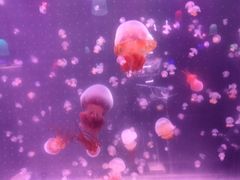 -欧亚达商业广场(红桥店)