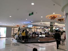 -野人先生Gelato(上海长宁龙之梦店)