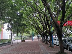 -西南政法大学(渝北校区)