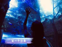 -成都浩海立方海洋公园