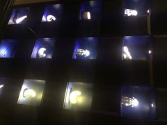 iphone_upload_pic-马仕玖煲·融合菜·酥不腻烤鸭(人大店)