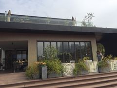 -艾溪湖湿地公园