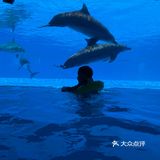 珠海长隆海洋王国必住长隆旗舰横琴湾酒店❗️