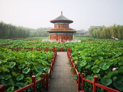 -大明幻境第一城