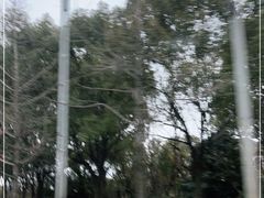 -养云安缦·廊