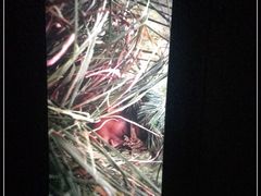 -橙天嘉禾影城(沈阳亿丰店)