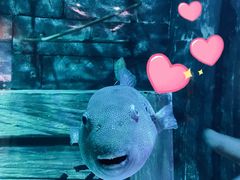 -沈阳海洋探索中心