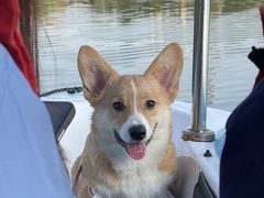 -昆山城市生态森林公园