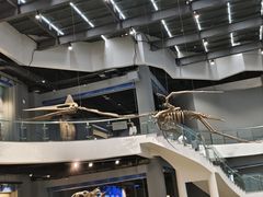 -辽宁古生物博物馆