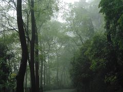 -重庆抗战遗址博物馆