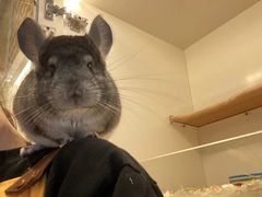 -龙猫仔乐园(惠福东路店)