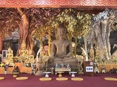 -西双版纳总佛寺