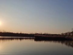 -西青郊野公园