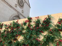 -华谊兄弟（长沙）电影小镇