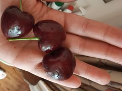 -东方鼎信农副产品交易中心