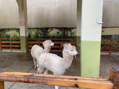 -华谊兄弟（长沙）电影小镇