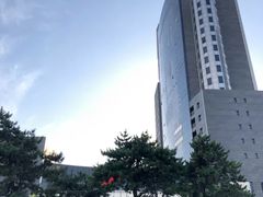 -电谷雅阁国际大酒店