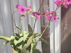 -肴约·花园式餐厅(湖里店)