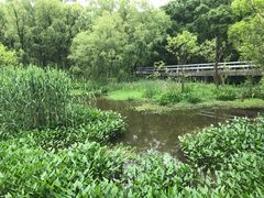 -西湖风景区-江洋畈生态公园