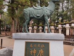 -奈良公园