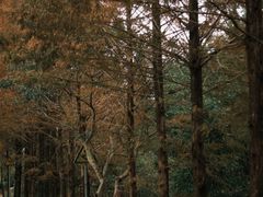 -泽雅景区