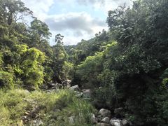 -海南热带雨林国家公园吊罗山景区