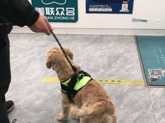 -美联众合爱康动物医院•复杂内科•肿瘤科•牙科•腔镜诊疗中心