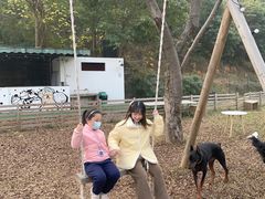 -趣多多宠物公园·宠物训犬学校·宠物寄养