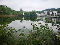 -大屏嶂森林公园