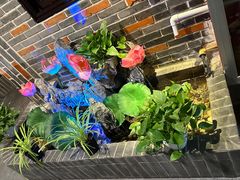 -富侨养生(光大会展店)