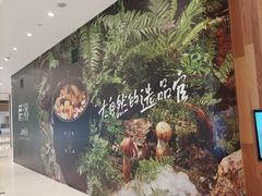 -蘑界·野生菌火锅(深业上城店)